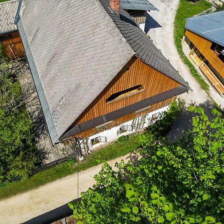 House, Garden And A Green Cat Bled Zewnętrze zdjęcie