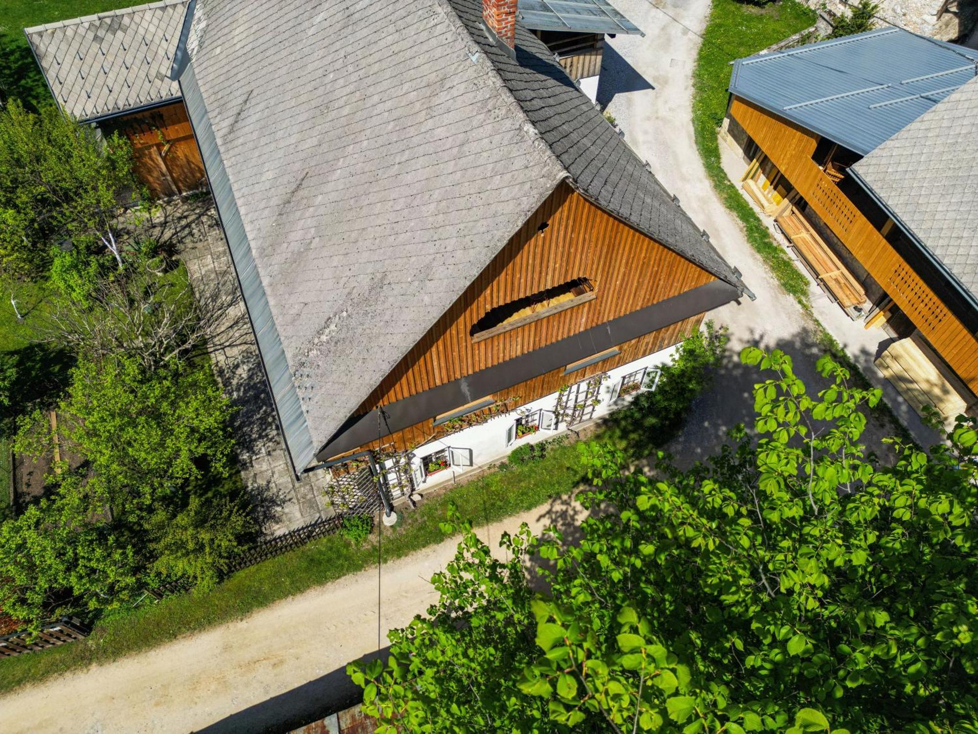 House, Garden And A Green Cat Bled Zewnętrze zdjęcie