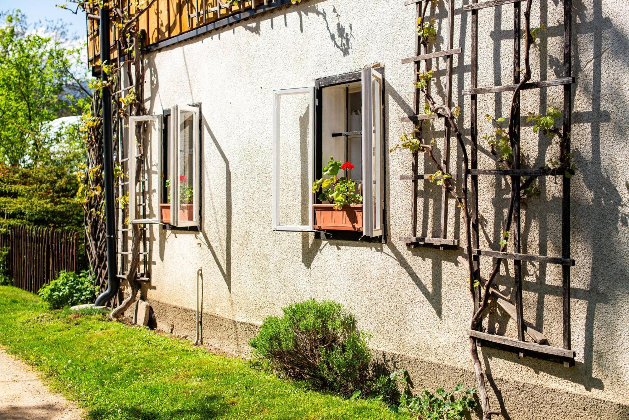 House, Garden And A Green Cat Bled Zewnętrze zdjęcie