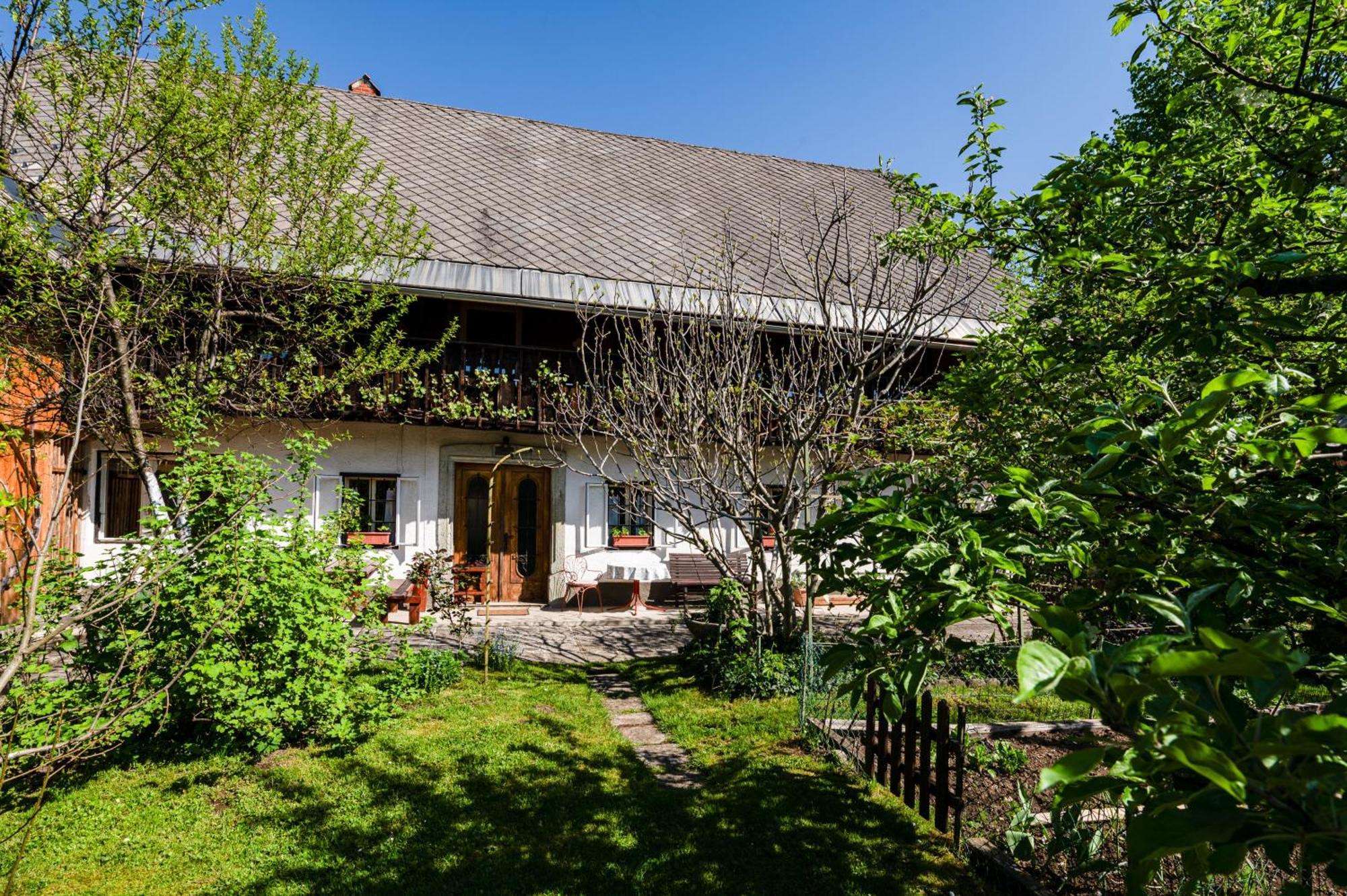 House, Garden And A Green Cat Bled Zewnętrze zdjęcie