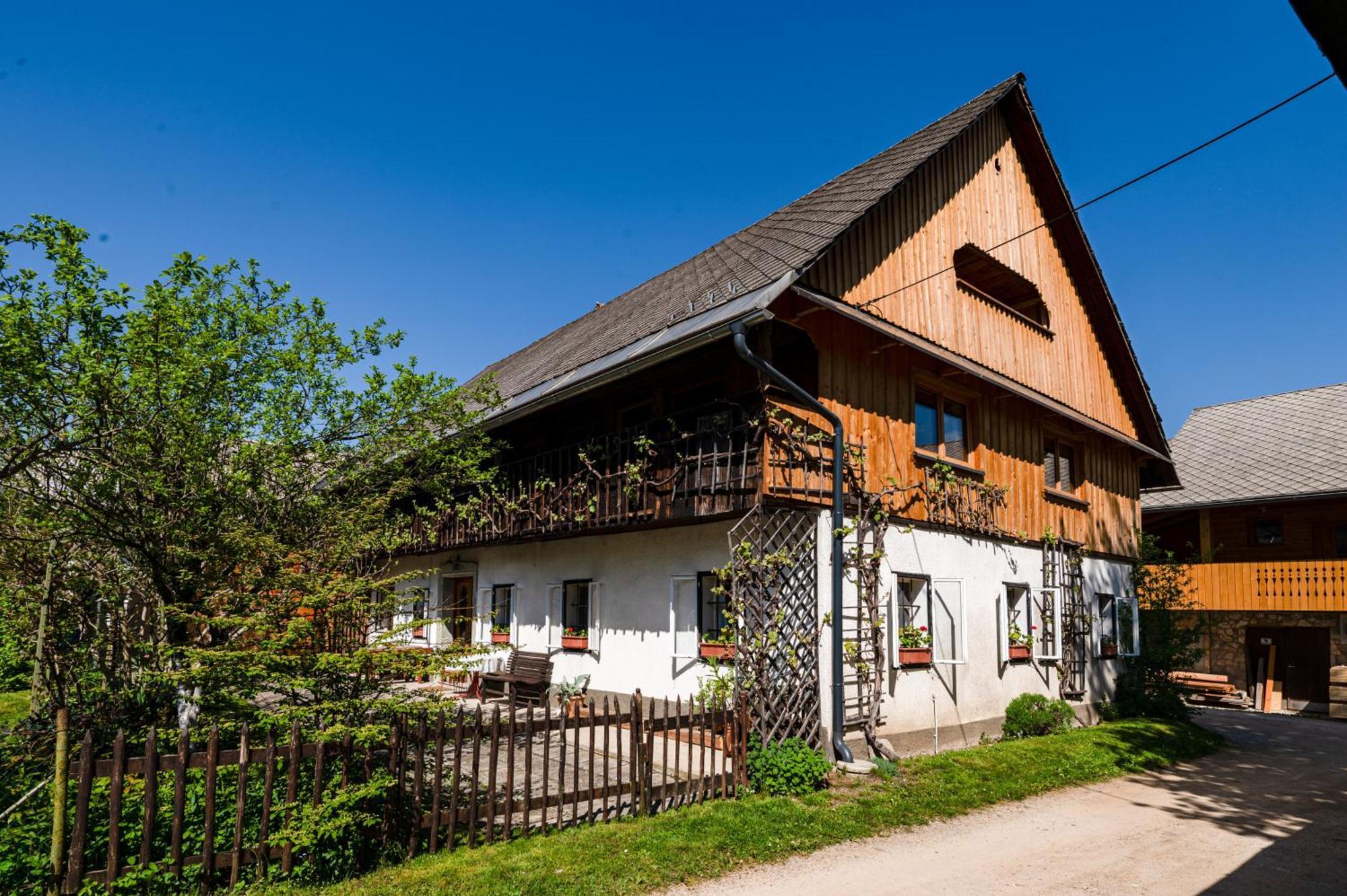 House, Garden And A Green Cat Bled Zewnętrze zdjęcie