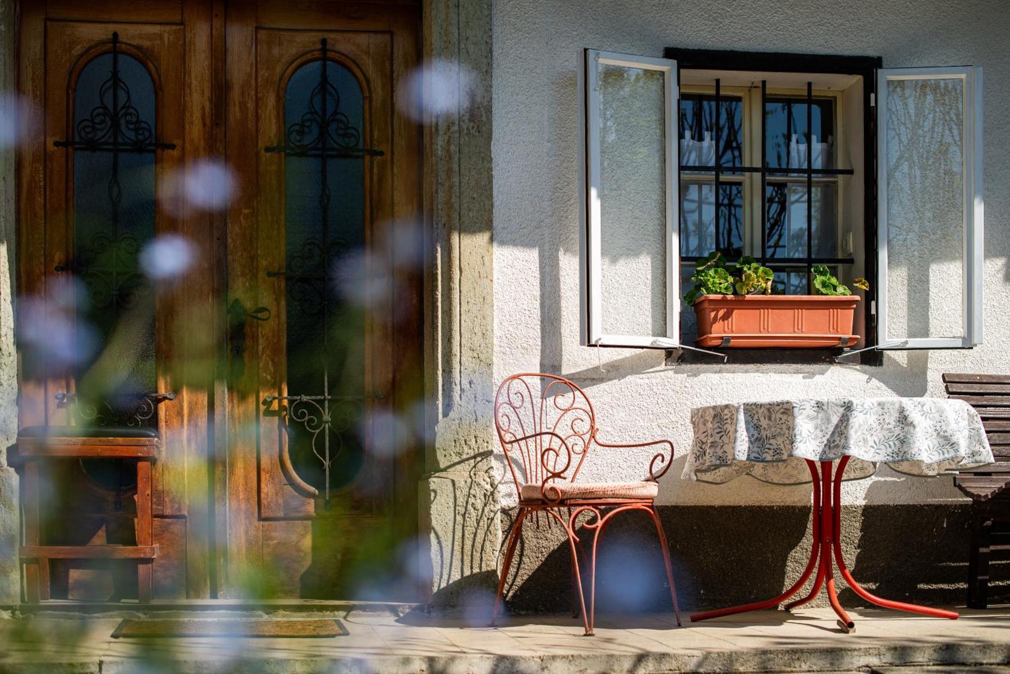 House, Garden And A Green Cat Bled Zewnętrze zdjęcie