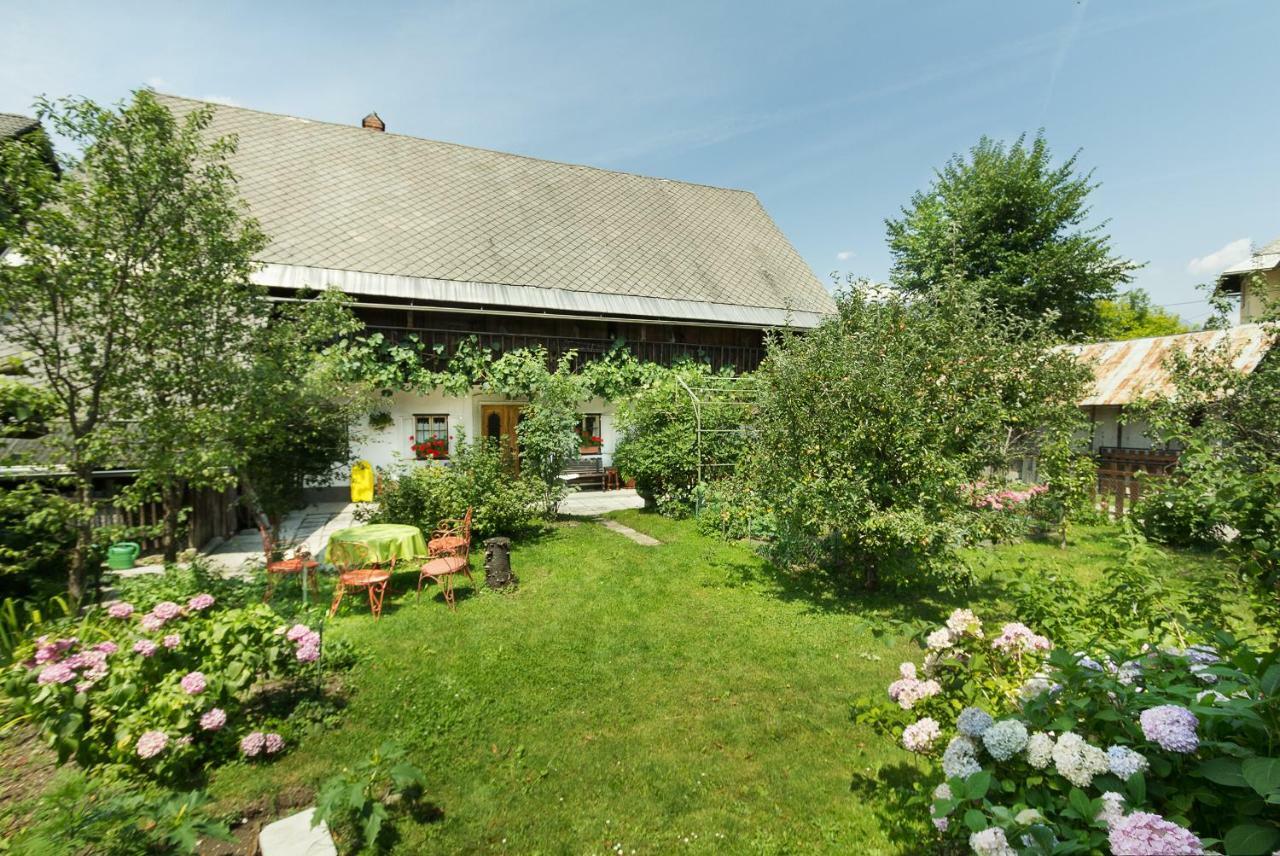 House, Garden And A Green Cat Bled Zewnętrze zdjęcie