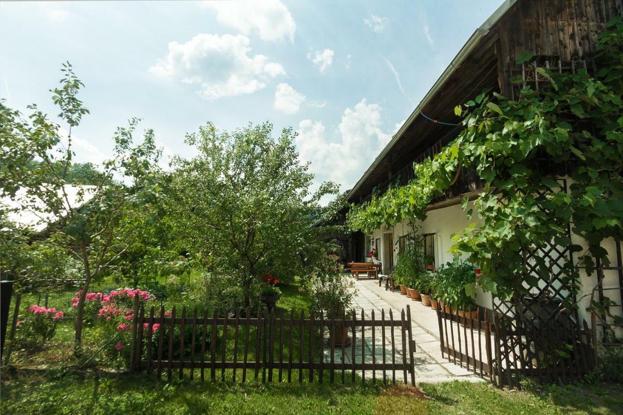 House, Garden And A Green Cat Bled Zewnętrze zdjęcie